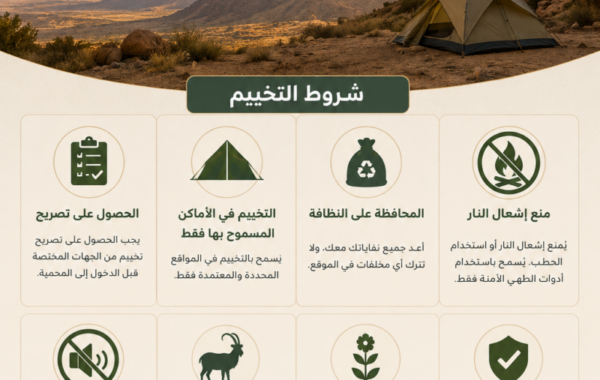 شروط التخييم في محمية الملك سلمان الملكية: دليل شامل للزوار