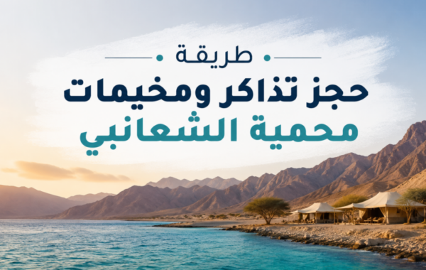 دليلك الشامل لزيارة محمية الشعانبي: كيفية حجز التذاكر والمخيمات خطوة بخطوة